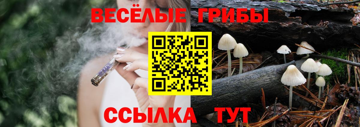 Элиста  Псилоцибиновые грибы Cubensis  Вход с VPN  Галлюциногенные грибы Magic Shrooms 